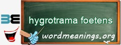 WordMeaning blackboard for hygrotrama foetens